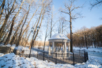 Морозное утро в Платоновском парке, Фото: 23
