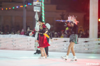 Туляки отметили Старый Новый год ледовым шоу, Фото: 2