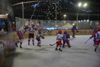 «Академия Михайлова» и Губернский каток 2025, Фото: 43