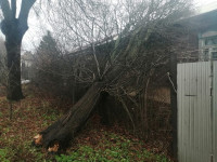 Штормовой ветер в Тульской области валил деревья, заборы и повредил крыши, Фото: 22