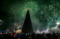 Открытие новогодней ёлки на площади Ленина, Фото: 49