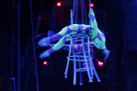 Aqua Show в Тульском цирке, Фото: 2