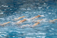 первенство цфо по синхронному плаванию, Фото: 152