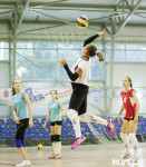 Тульские волейболистки готовятся к сезону., Фото: 33