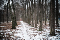 Декабрь – не повод закрывать грибной сезон: репортаж от тульского фотографа, Фото: 20