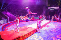 Шоу Гии Эрадзе «5 континентов» в Тульском цирке: феерия уже началась!, Фото: 13