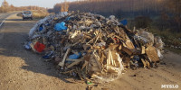 Столичный мусор в Тульской области, Фото: 6