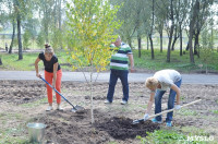 В Пролетарском районе высадили молодые деревья, Фото: 14