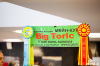 Выставка "Пряничные кошки". 15-16 августа 2015 года., Фото: 4