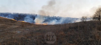 Рядом с микрорайоном полыхает поле: огонь растянулся примерно на километр, Фото: 4