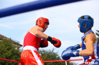 Матчевая встреча по боксу между спортсменами Тулы и Керчи. 13 сентября 2014, Фото: 12
