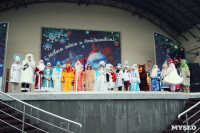 "Битва Дедов Морозов" в Центральном парке, Фото: 13