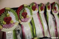 В Туле прошла Всероссийская выставка собак всех пород, Фото: 13