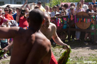 В Тульской области прошел фестиваль крапивы, Фото: 201