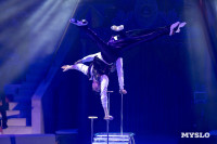 Цирковое шоу Жар птица, Фото: 27