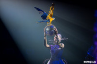 Шоу фонтанов «13 месяцев»: успей увидеть уникальную программу в Тульском цирке, Фото: 49