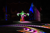 "Чудеса под Новый год" в Тульском цирке, Фото: 13