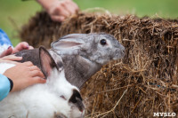 День поля в Тульской области: Гигантская техника, шубы из кроликов и мастер-класс по сыроварению, Фото: 71