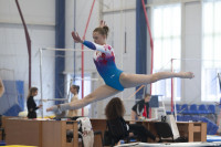 Всероссийские соревнования по спортивной гимнастике, Фото: 44