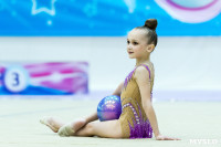 Тула провела крупный турнир по художественной гимнастике, Фото: 171