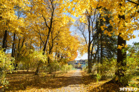 Золотая осень в Ясной Поляне, Фото: 43