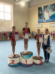 Тульские гимнастки завоевали медали на соревнованиях в Новомосковске, Фото: 5