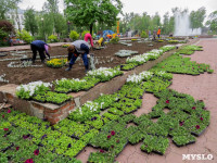 В Кировском сквере Тулы высадят 20 тысяч цветов, Фото: 3