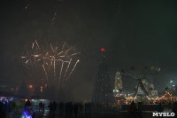 Открытие главной ёлки на площади Ленина, Фото: 56