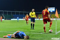 «Арсенал» Тула - «Балтика» Калининград - 1:0, Фото: 15