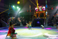 Цирковое шоу Жар птица, Фото: 129