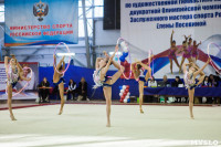 Всероссийские соревнования по художественной гимнастике на призы Посевиной, Фото: 157