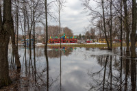 В Туле затопило Баташевский сад, Фото: 23