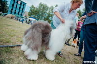 Всероссийская выставка собак в Туле, Фото: 112