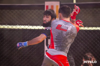 Турнир по ММА памяти Алексея Калинина собрал лучших бойцов страны: фоторепортаж, Фото: 151