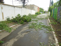Ураган в Плавске, Фото: 8