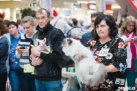 Международная выставка кошек в ТРЦ "Макси", Фото: 61