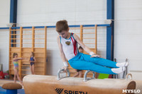 Мужская спортивная гимнастика в Туле, Фото: 6