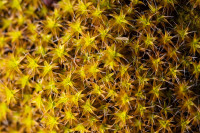 , Фото: 66