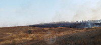 Рядом с микрорайоном полыхает поле: огонь растянулся примерно на километр, Фото: 6