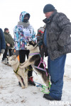 Праздник северных собак на Куликовом поле , Фото: 68