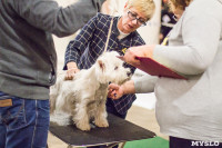 Выставка собак в ДК "Косогорец", Фото: 36