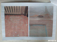 Капремонт в квартире: туляк в суде требует с соседки компенсации за разрешение стен и потолка, Фото: 5