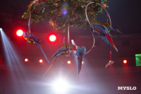 Цирковое шоу Жар птица, Фото: 67