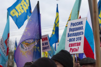 В Туле проходит митинг в поддержку Крыма, Фото: 20