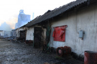 Пожар на хлебоприемном предприятии в Плавске., Фото: 20