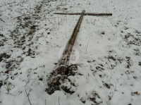В Тульском лесу нашли загадочную поляну с крестами, елкой и зеркалами, Фото: 7