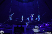 Цирк на воде «Остров сокровищ» в Туле: Здесь невозможное становится возможным, Фото: 10