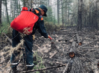 Тульские спасатели помогают тушить лесные пожары в Якутии, Фото: 3