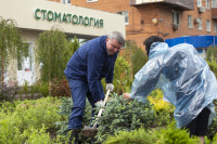 В центре Тулы появился самый зеленый перекресток, Фото: 9
