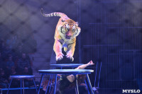 Цирковое шоу, Фото: 110